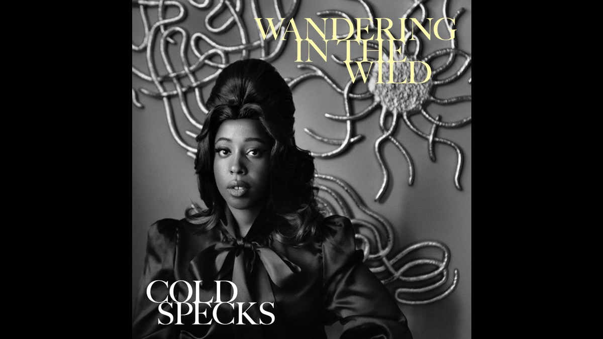 Cold Specks 'Wandering in the Wild' With New Single