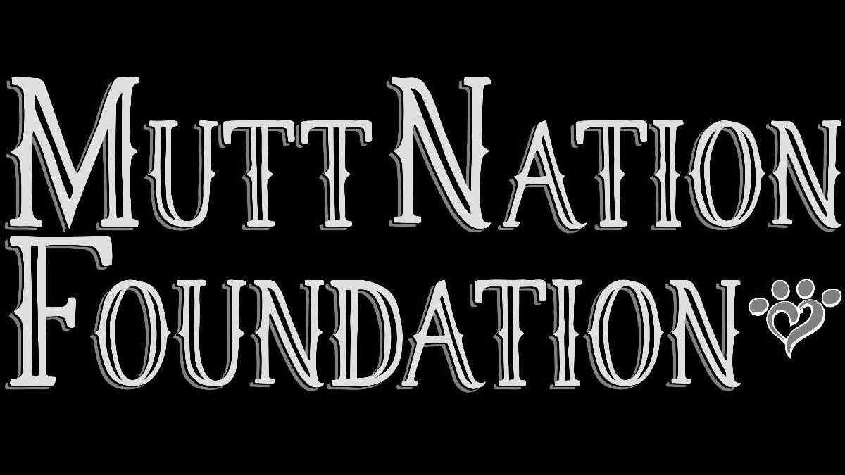 Miranda Lambert & MuttNation Foundation Create Idyllwind Award to Honor Equine Rescues