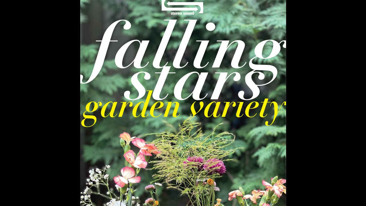 Singled Out: Falling Stars' Waiting For Love