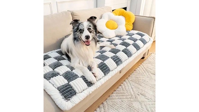 FunnyFuzzy